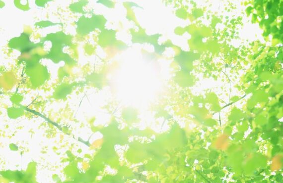 広島市内から中国5県までの定期便を承ります